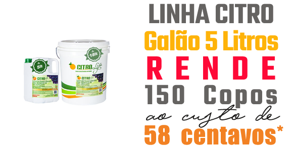 suco citro com rendimento de 150 copos